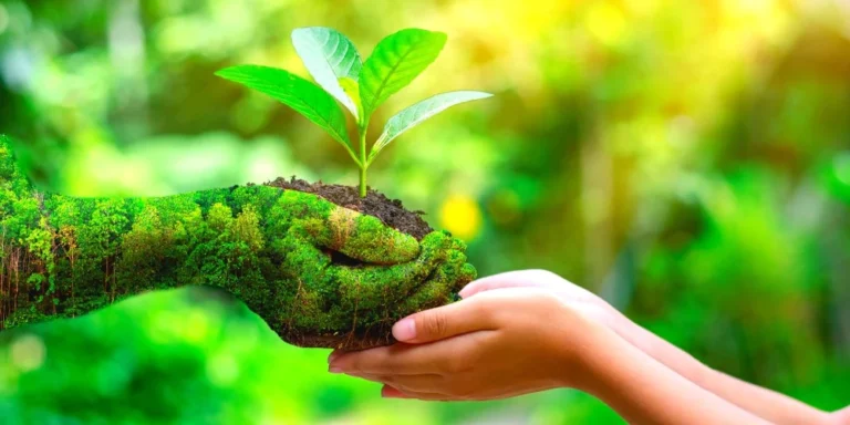 Embracing Environmental Health Through Sustainable Travel